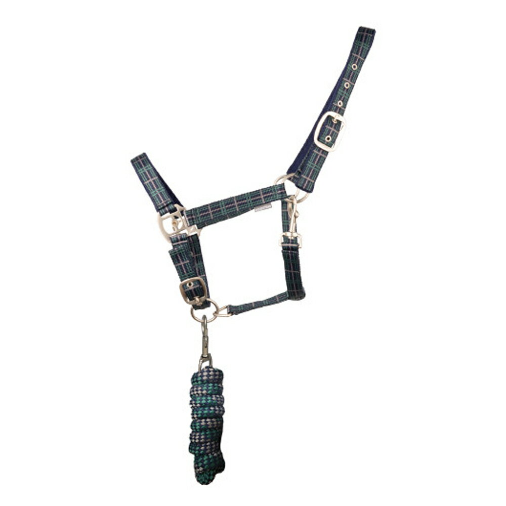 (ハイ) Hy 馬用 タータン ヘッドカラー スエード 乗馬 馬具 ホースライディング 【海外通販】