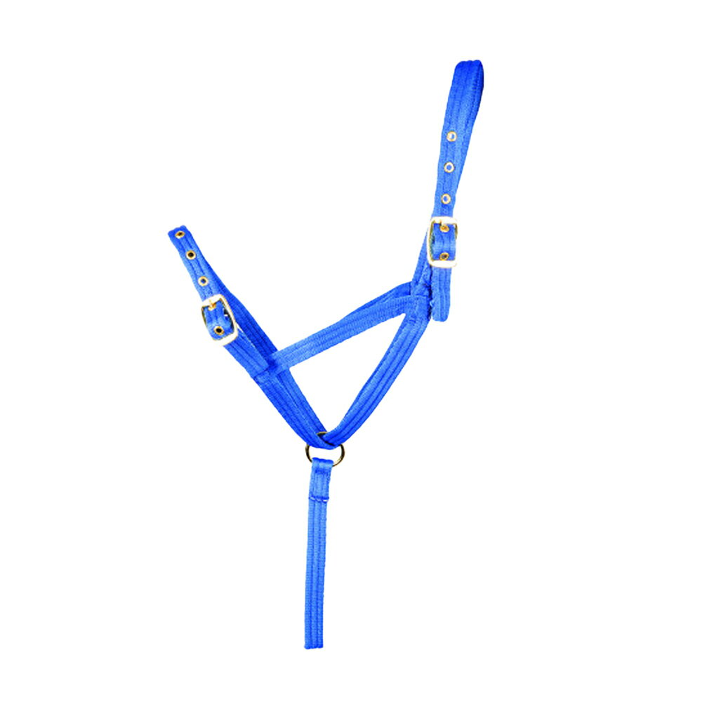 商品説明 ・ 留め具: 調節可能。・ ソフトで耐久性があり、長く愛用できます。・ 簡単に取り付けられます。・ フリーサイズ、補強アイレット、ステンレススチール素材留め具。カラー 04/02/2026 / UTBZ6299