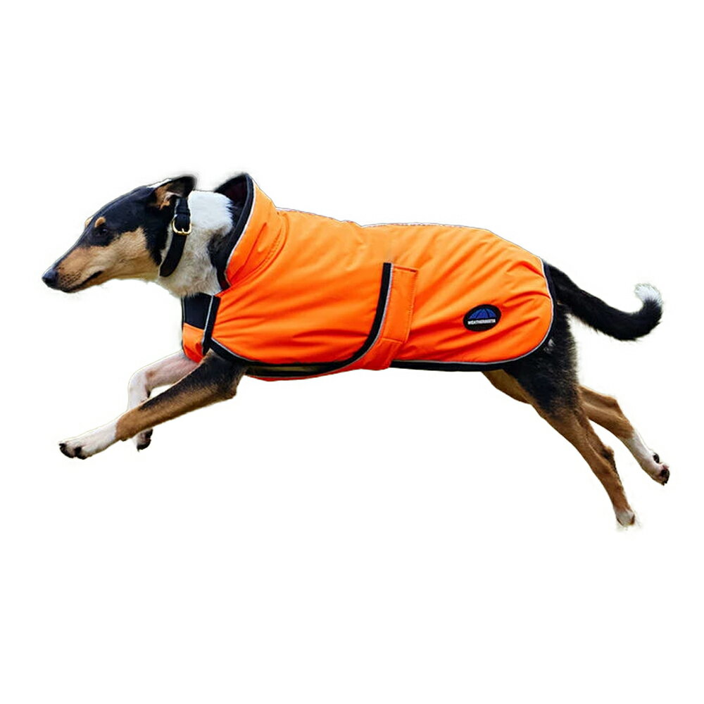 (ウェザビータ) Weatherbeeta ワンちゃん用 Comfitec デラックス 反射 コート 犬服 シャワープルーフ 犬用 ジャケット ペット用品 【海外通販】