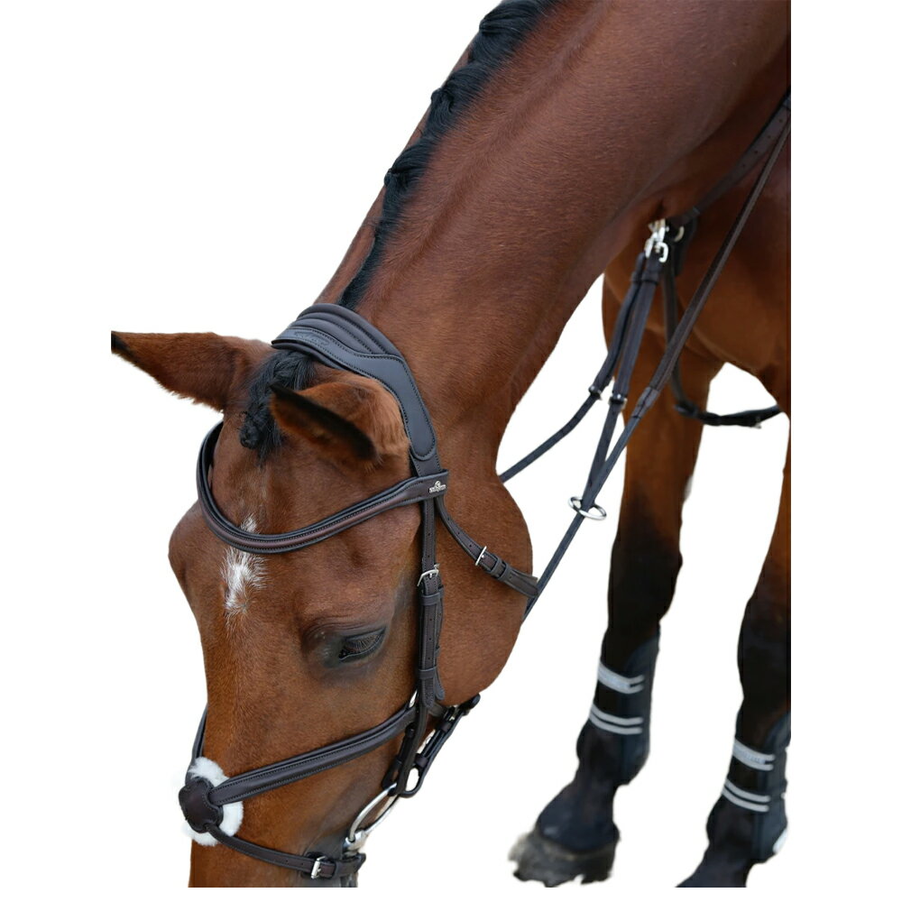 (����å�������) Collegiate ���� �쥶�� ����å��� �֥饤�ɥ� ���� Ƭ�� �϶� �ۡ����饤�ǥ��� �ڳ������Ρ�