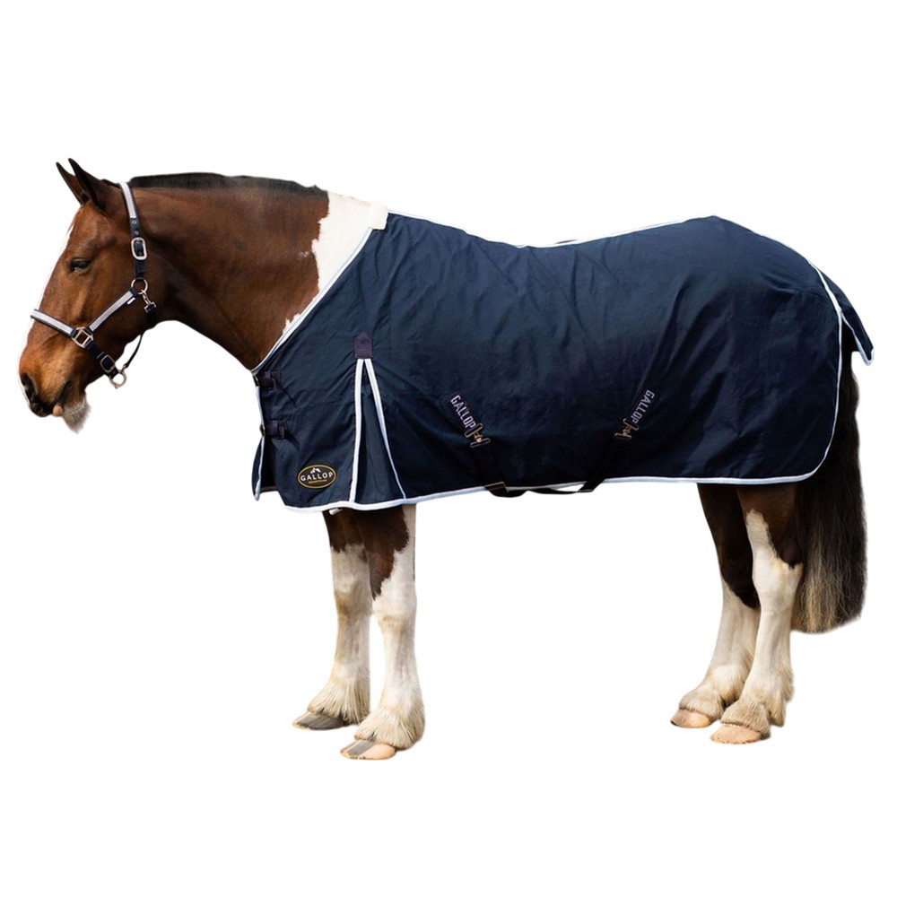 (������å�) Gallop ���� ����������ɥͥå� �饰 ���ޡ������� ���� ���� �ۡ����饤�ǥ��� �ڳ������Ρ�