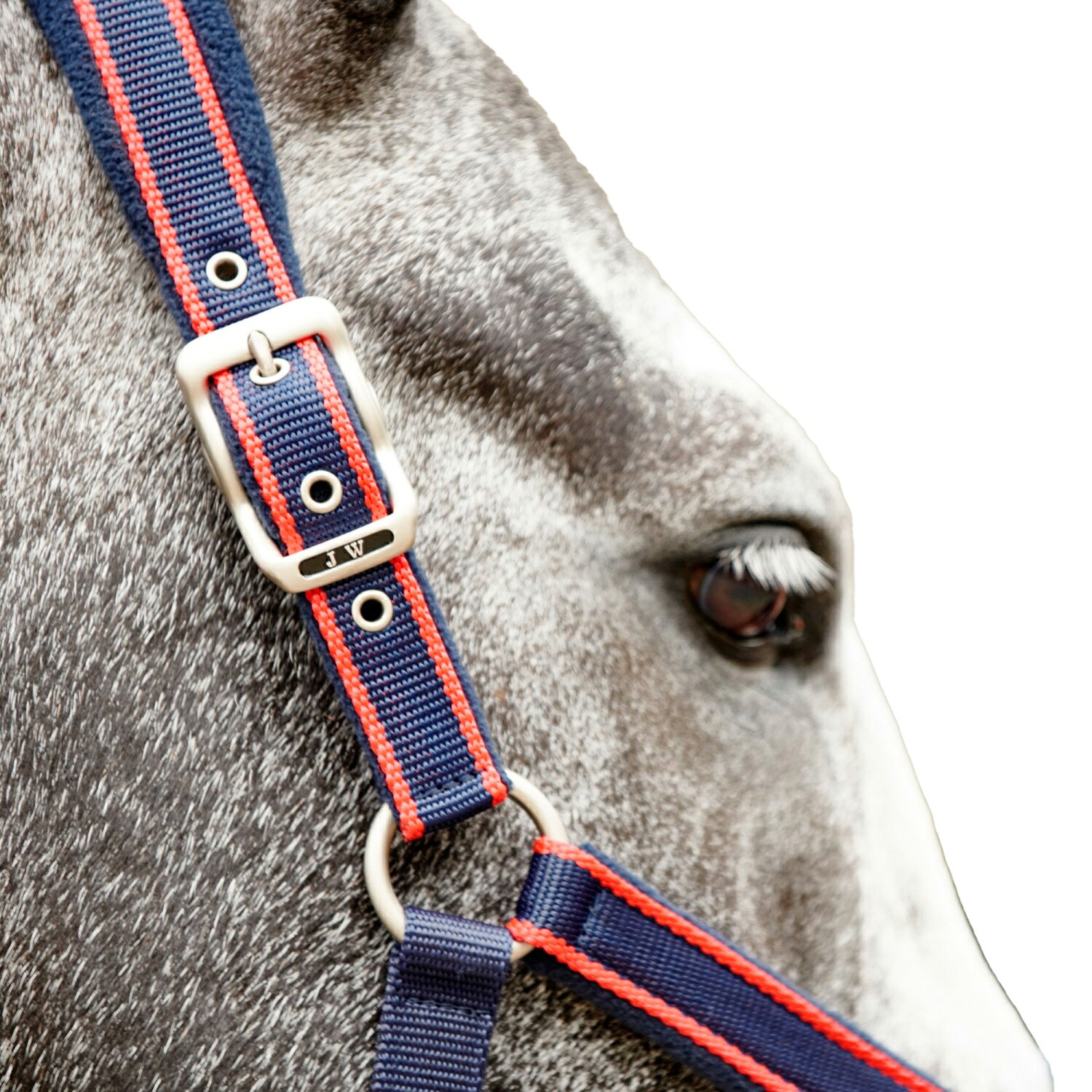 (ウィテカー) Whitaker 馬用 Airflow ヘッドカラー リードロープ付き 乗馬 馬具 ホ...