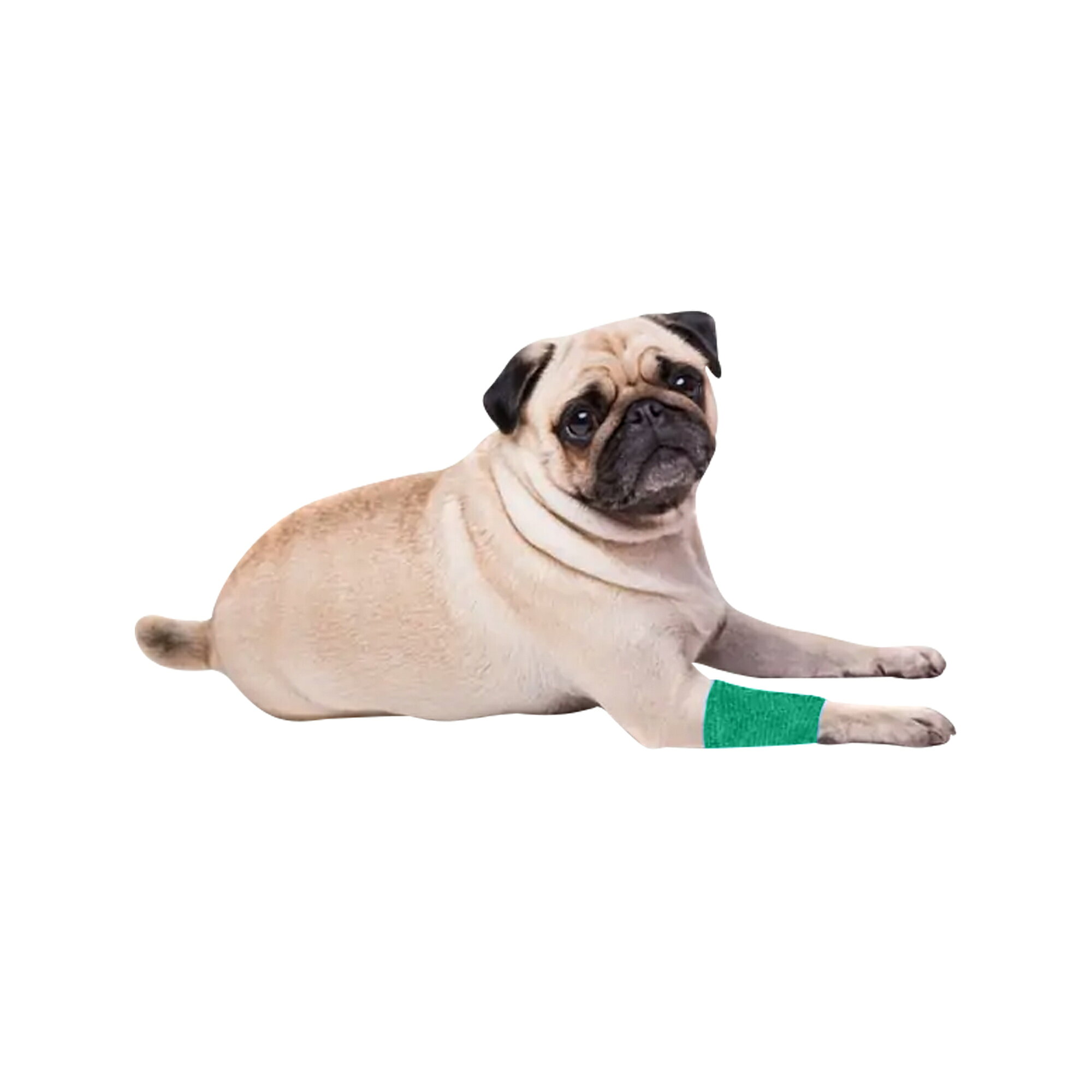 (��������å�) EquiMed ���� Vetwrap �Х�ǡ��� Ǵ���� �贬 ���� �ݸ� �ۡ����饤�ǥ��� �ڳ������Ρ�