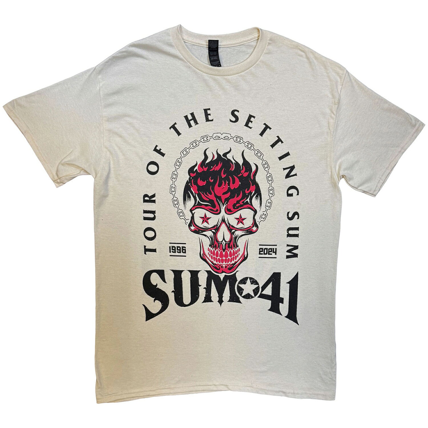 楽天市場】ギター ピック sum41の通販