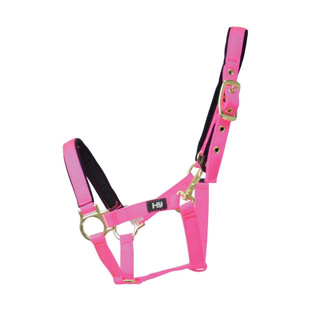 ( ハイ) Hy 馬用 Fieldsafe スモールポニー/子馬用 ヘッドカラー 馬具 乗馬 ホース...