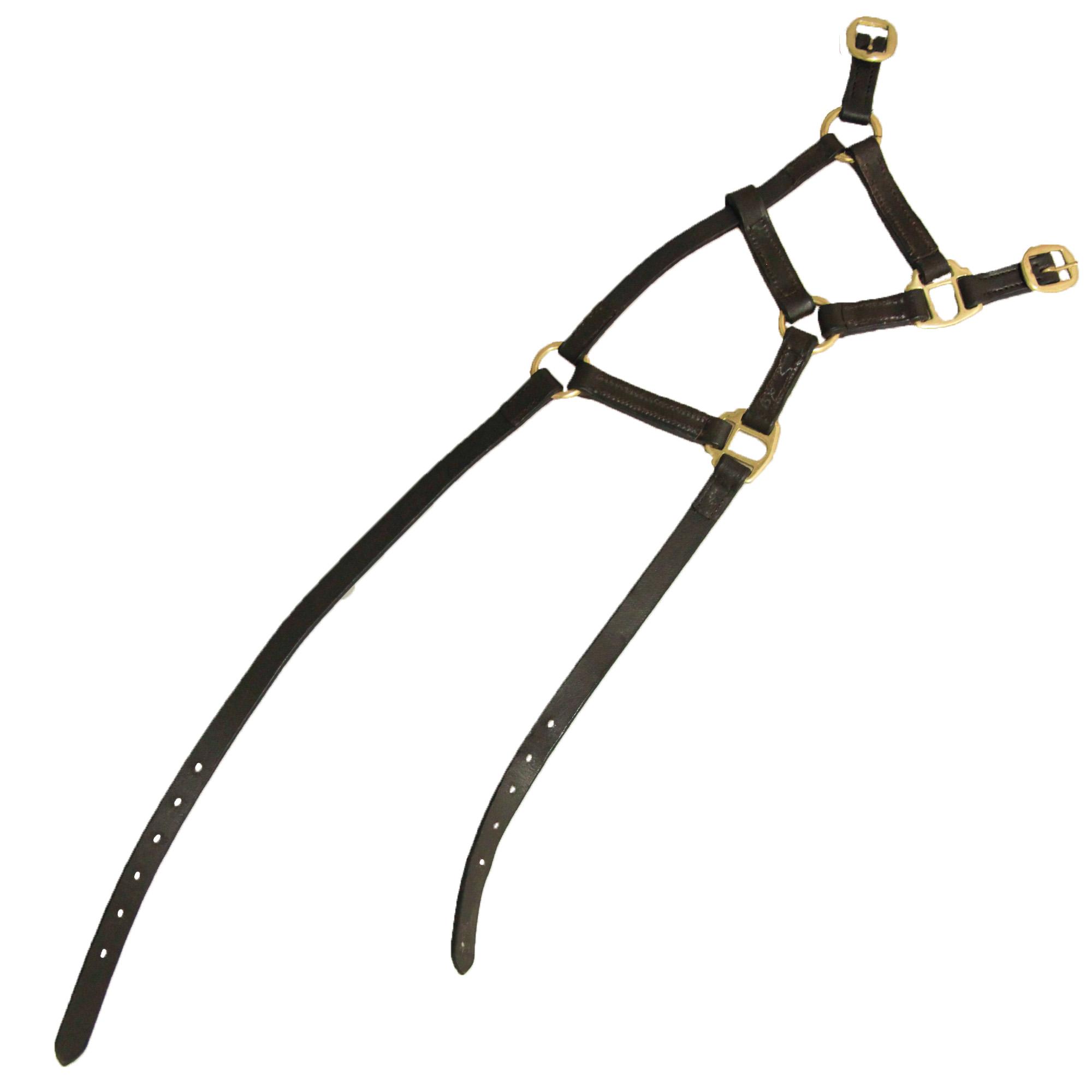 (ハイ) Hy 馬用フォール 子馬 ヘッドカラー レザー 馬具 乗馬 ホースライディング ...