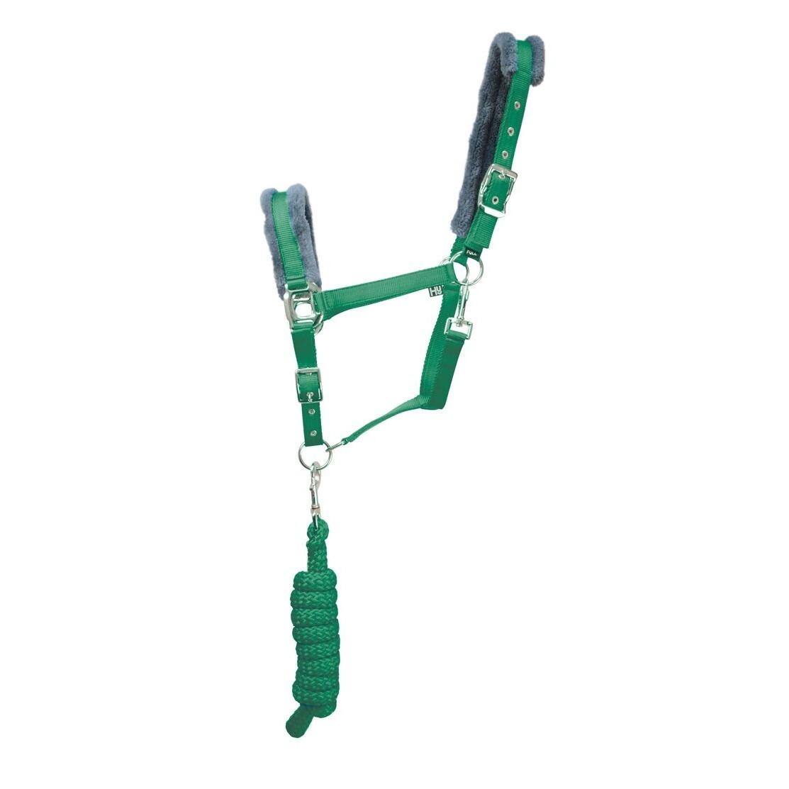 (ハイ) Hy Sport 馬用 アクティブ ヘッドカラー リードロープ付き 頭絡 馬具 乗馬 ...
