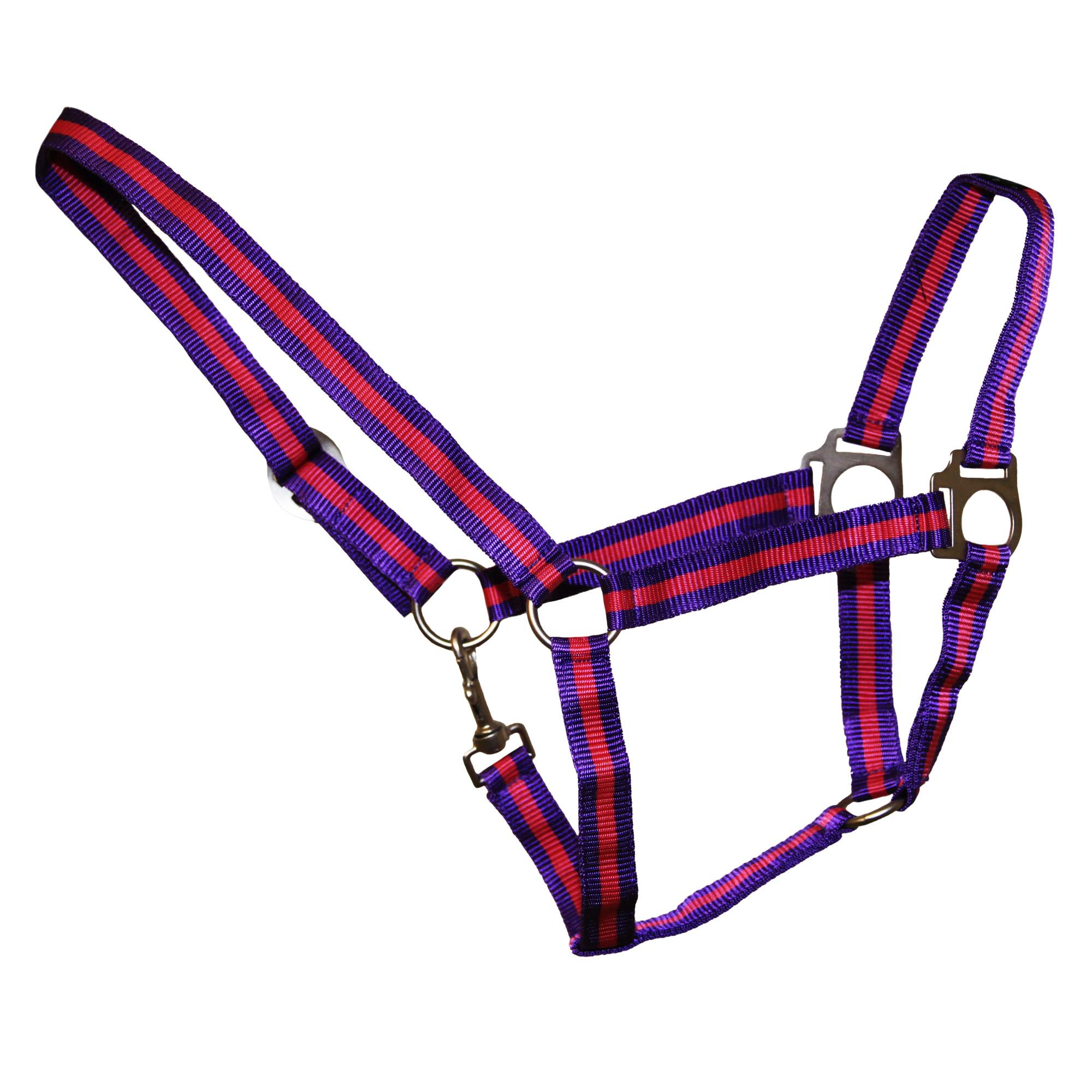 (ハイ) Hy 馬用 Duo デュオ ヘッドカラー 頭絡 馬具 乗馬 ホースライディング 【海...