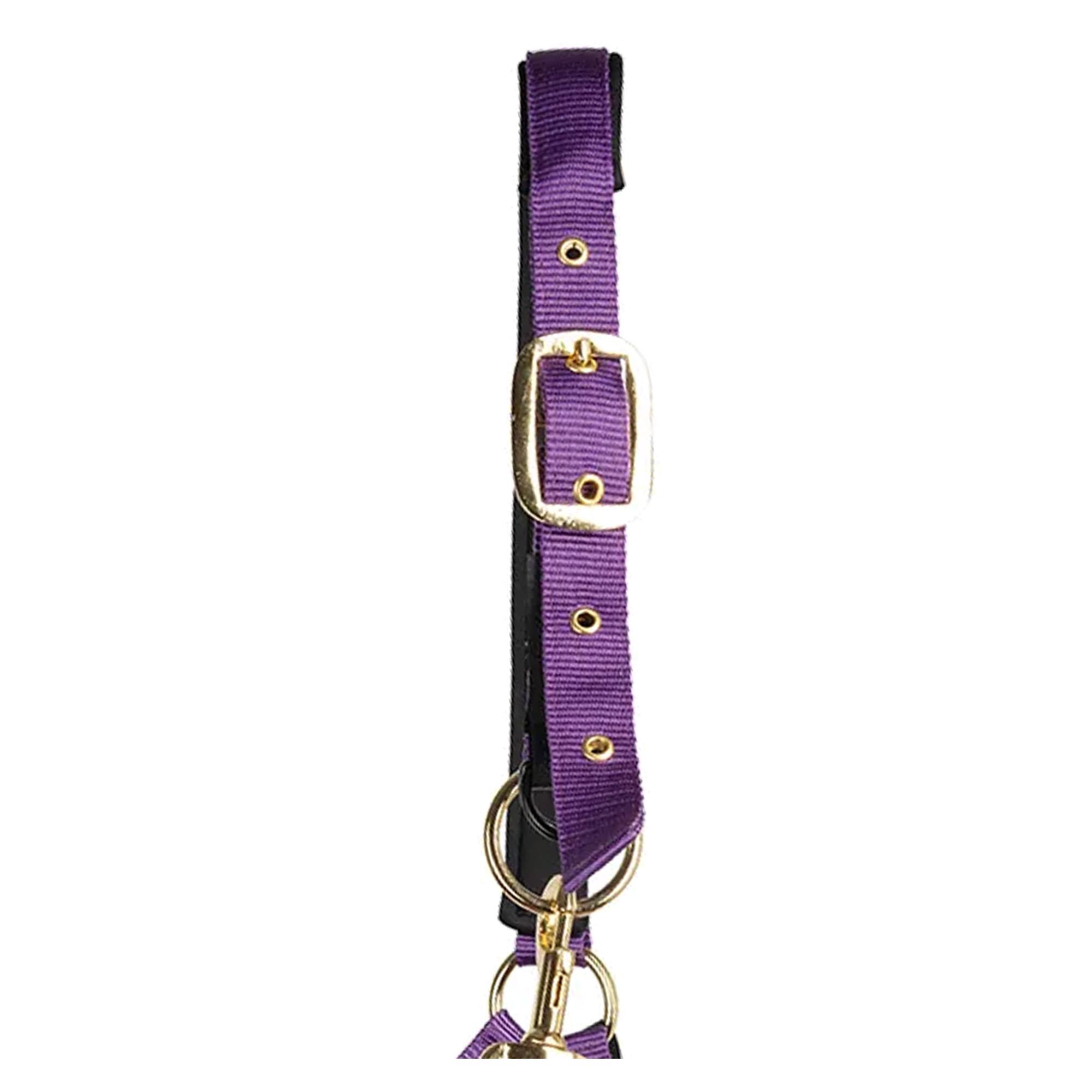 (ハイ) Hy 馬用 Fieldsafe ヘッドカラー 乗馬 馬具 ホースライディング 【海外通販】