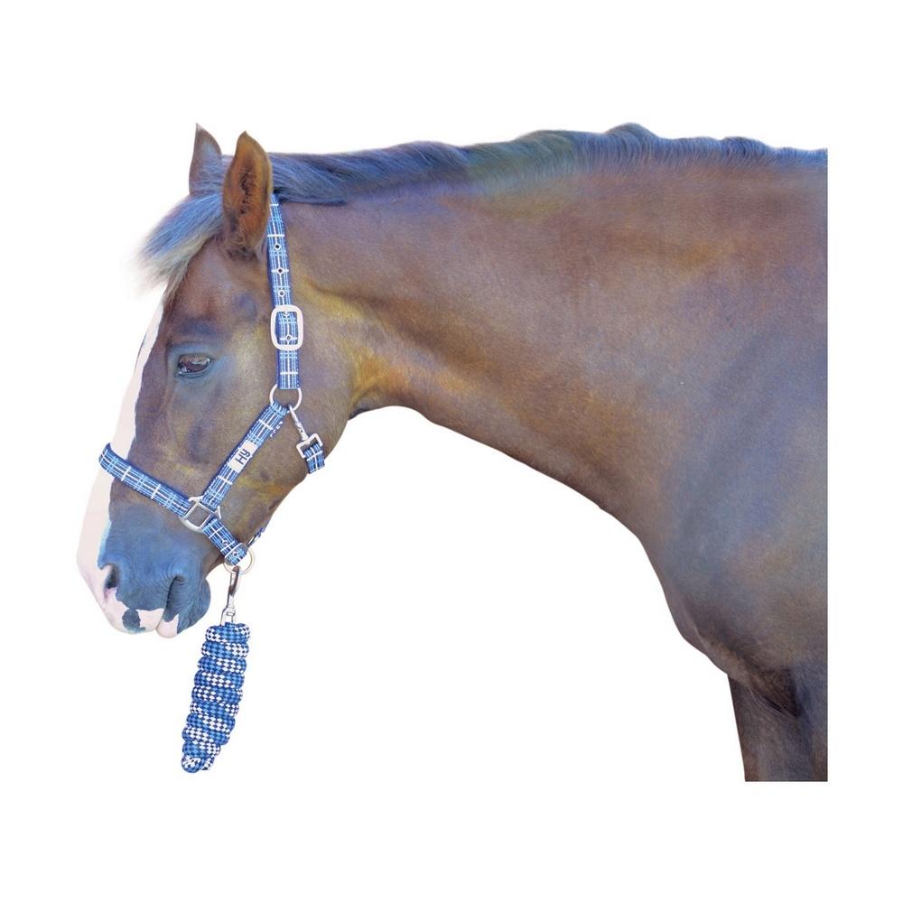 (ハイ) Hy 馬用 タータン柄 ヘッドカラー リードロープ付き 馬具 乗馬 ホースライ...