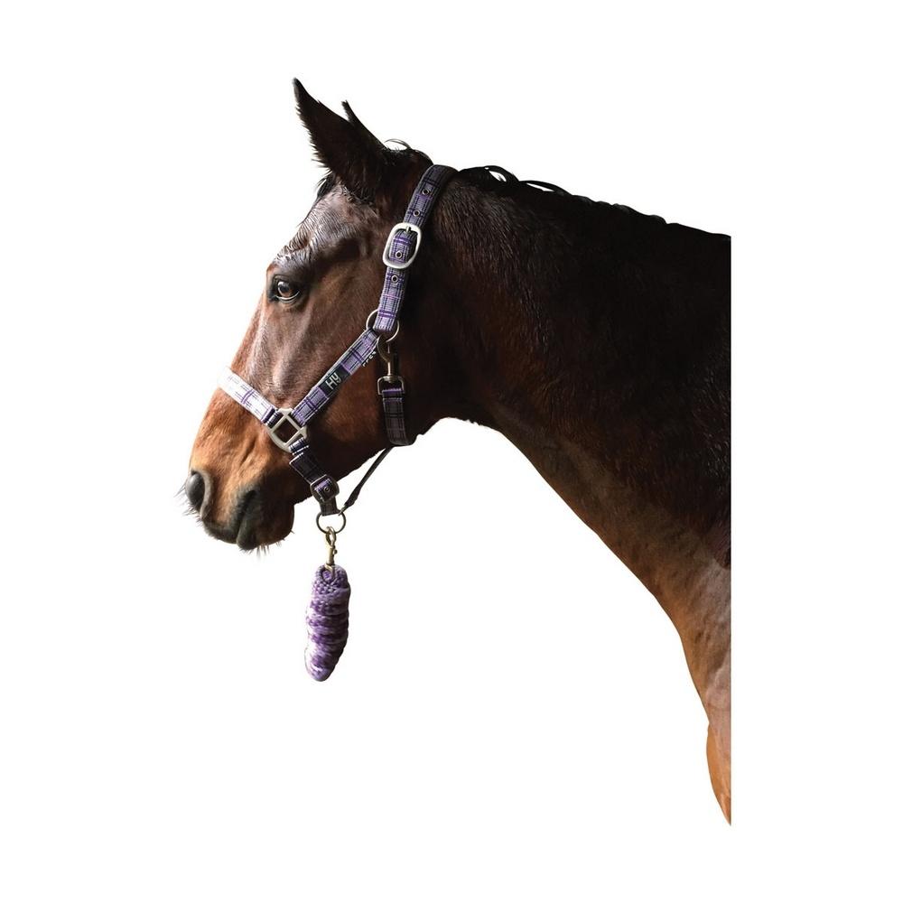 (ハイ) Hy 馬用 タータン柄 ヘッドカラー リードロープ付き 馬具 乗馬 ホースライ...