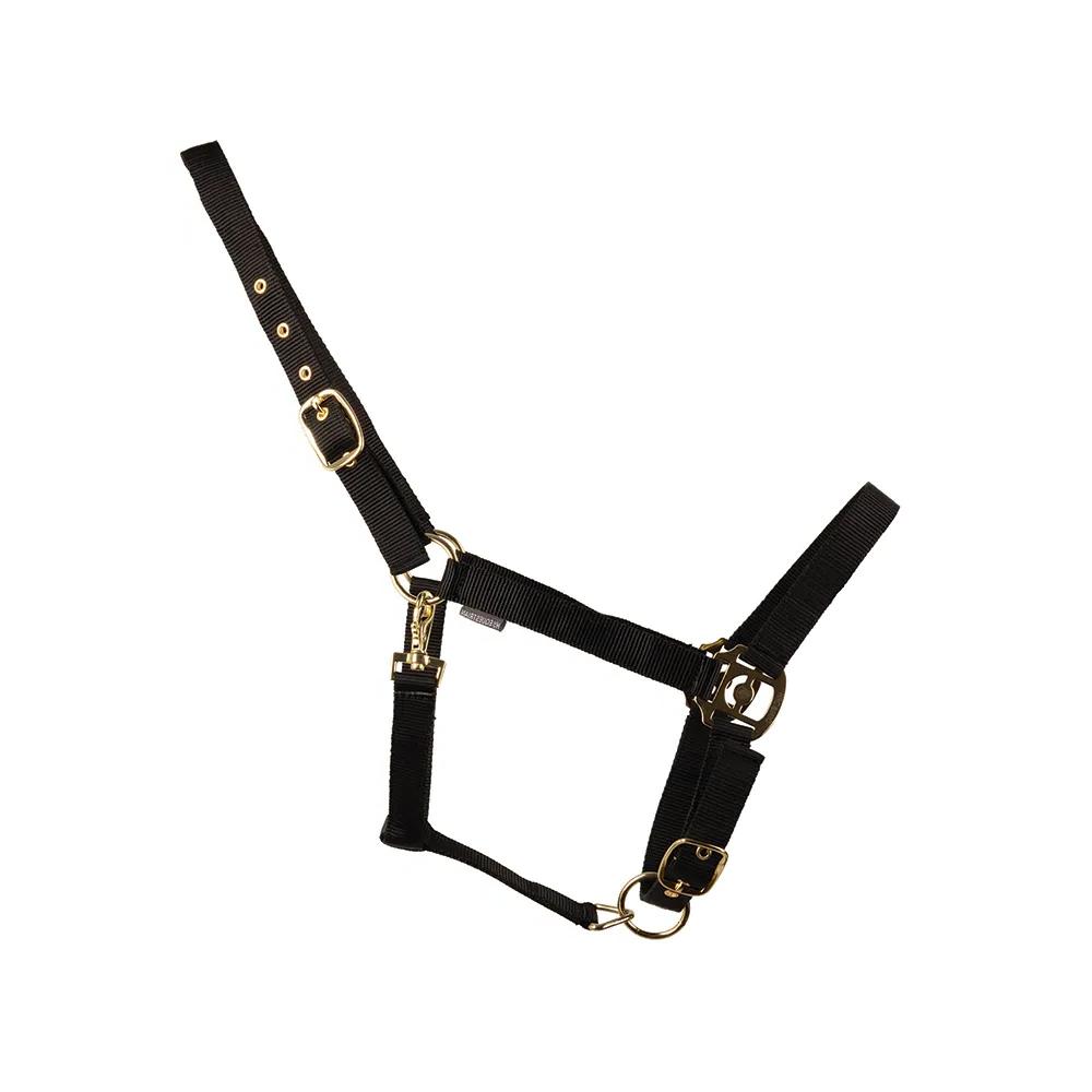 (ハイ) HYCONIC 馬用 ヘッドカラー 乗馬 馬具 ホースライディング 【海外通販】