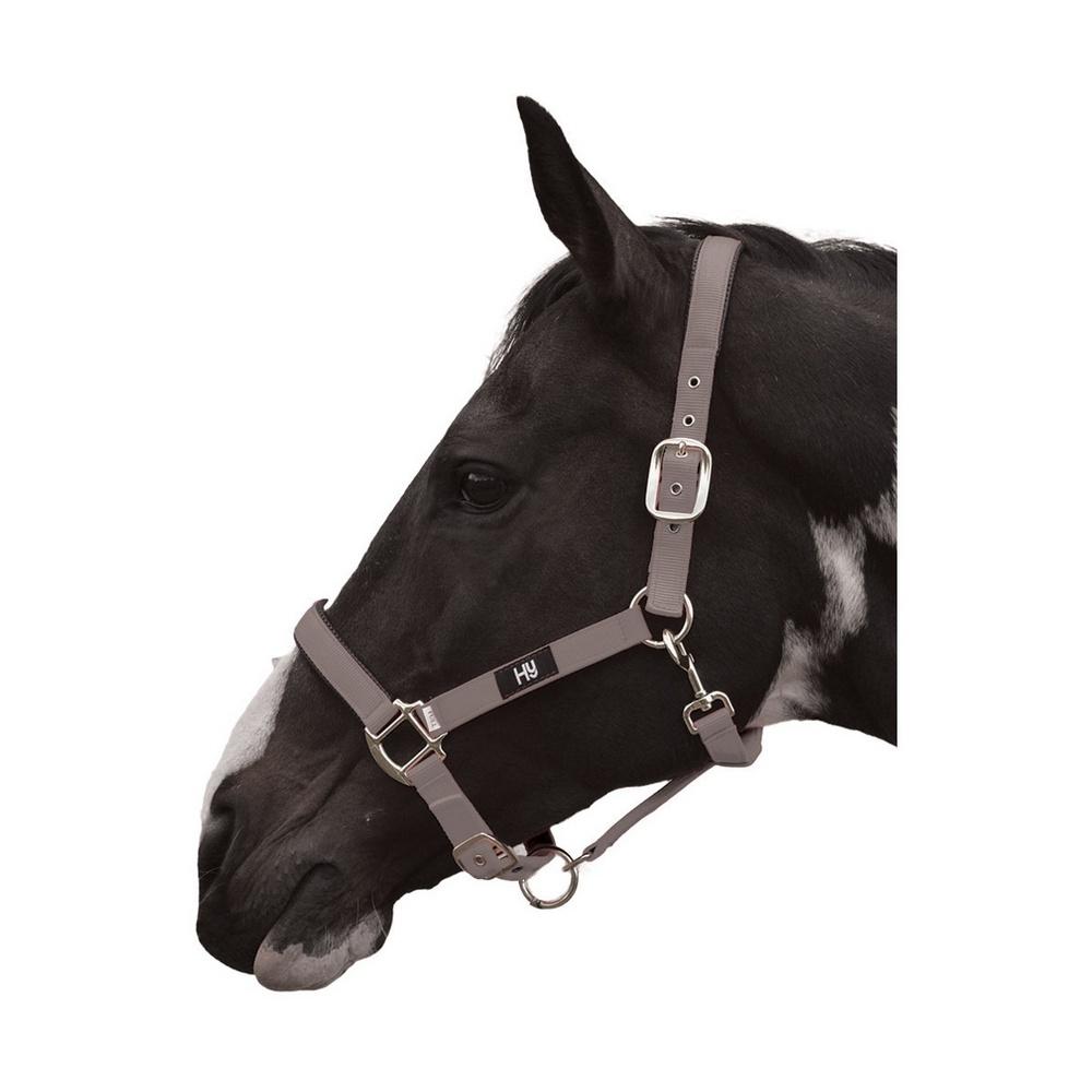(ハイ) Hy 馬用 Grand Prix ヘッドカラー 馬具 乗馬 ホースライディング 【海外通販】