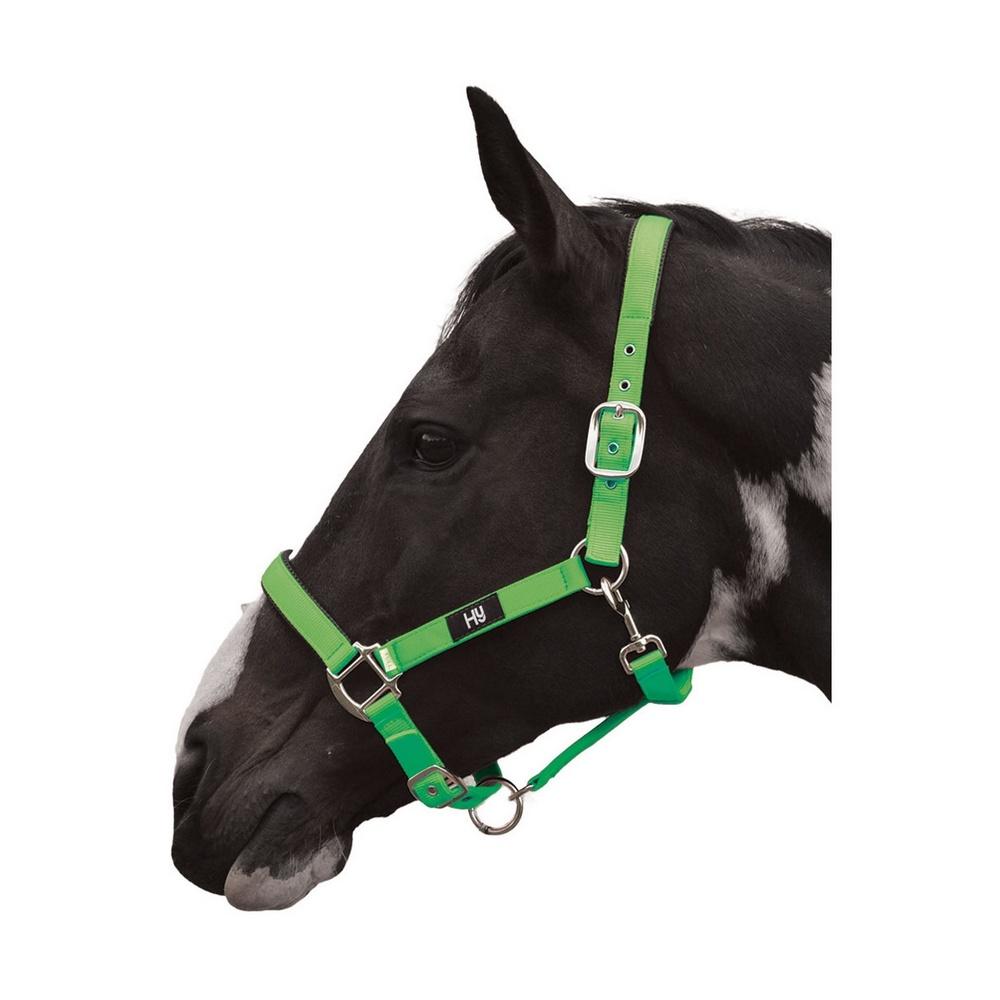 (ハイ) Hy 馬用 Grand Prix ヘッドカラー 馬具 乗馬 ホースライディング 【海外通販】