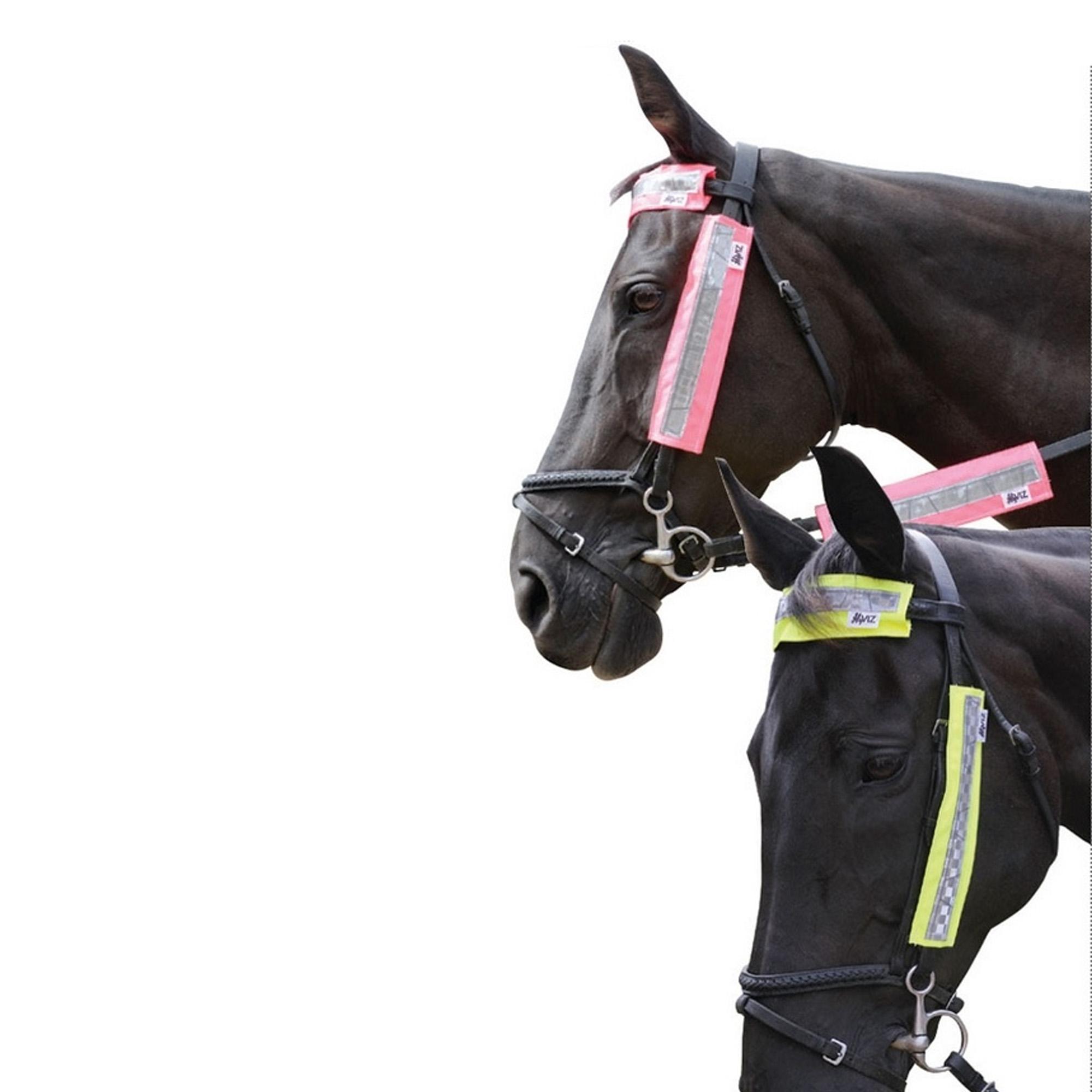 (ハイ) HyVIZ 馬用 ブライドル用反射テープ 頭絡用パーツ 乗馬 ホースライディング...