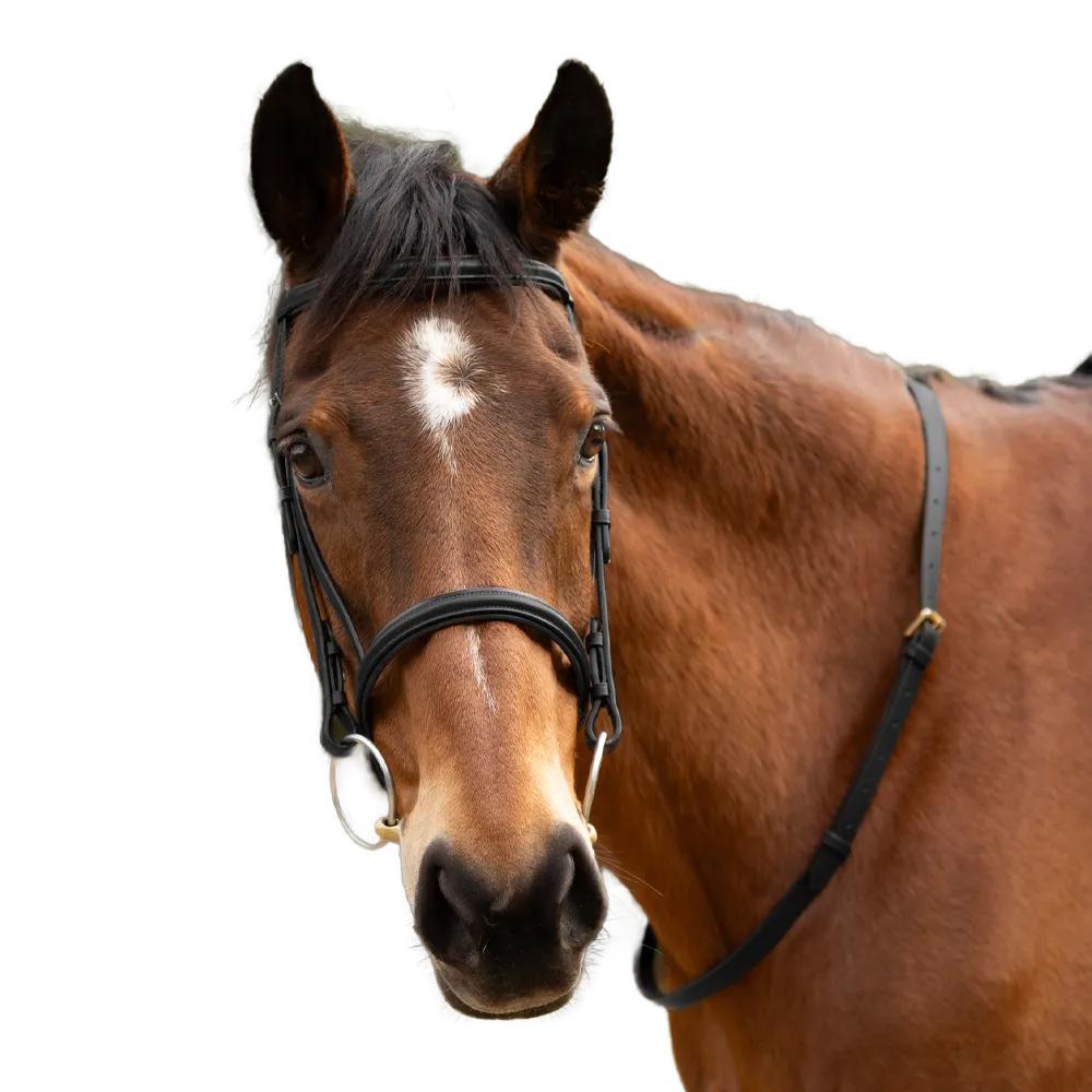 (ハイ) HY 馬用 レザー ネックストラップ 乗馬 ホースライディング 【海外通販】