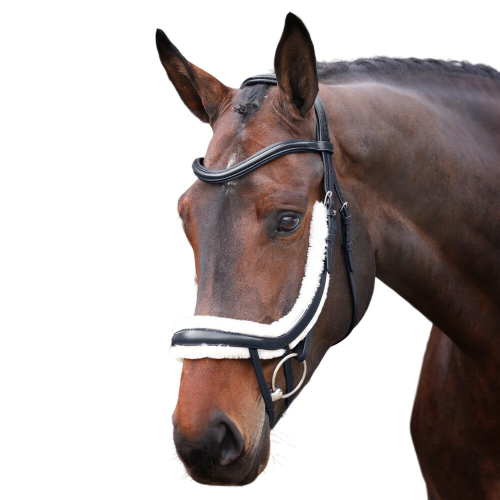 (ベロシティ) Velociti 馬用 Rapida フリースライニング レザー ブライドル カーブ フラッシュ鼻革 乗馬 頭絡 馬具 ホースライディング 【海外通販】
