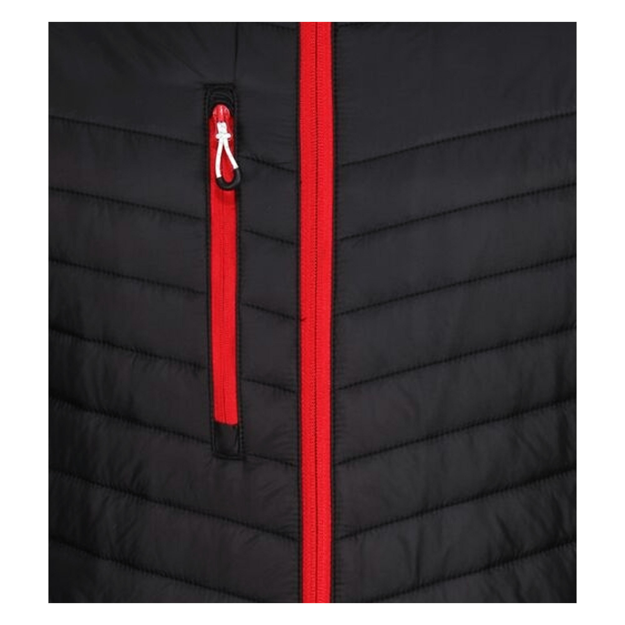 (�쥬�å�) Regatta ��� Navigate ���㥱�å� ����ƥ��� �ϥ��֥�åɥ��㥱�å� Ĺµ �����ȥɥ� �ڳ������Ρ�