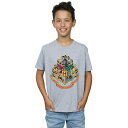 (ハリー・ポッター) Harry Potter オフィシャル商品 キッズ・子供用 ホグワーツ 半袖 Tシャツ トップス 男の子 【海外通販】