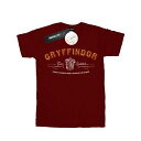 (ハリー・ポッター) Harry Potter オフィシャル商品 キッズ・子供用 グリフィンドール チーム クィディッチ 半袖 Tシャツ トップス 男の子 【海外通販】
