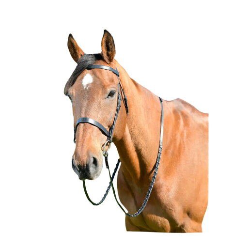 (キンケード) Kincade 馬用 Classic ブライドル レザー フラット ハント 手綱付き 乗馬 頭絡 馬具 ホースライディング 【海外通販】 (キンケード) Kincade 馬用 Classic ブライドル レザー フラット ハント 手綱付き 乗馬 頭絡 馬具 ホースライディング 【海外通販】