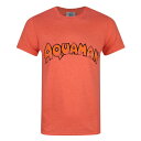 (アクアマン) Aquaman オフィシャル商品 メンズ ロゴ Tシャツ 半袖 カットソー トップス 【海外通販】