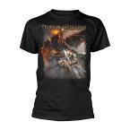 (ディーモンズ・アンド・ウィザーズ) Demons & Wizards オフィシャル商品 ユニセックス Diabolic Tシャツ 半袖 トップス 【海外通販】