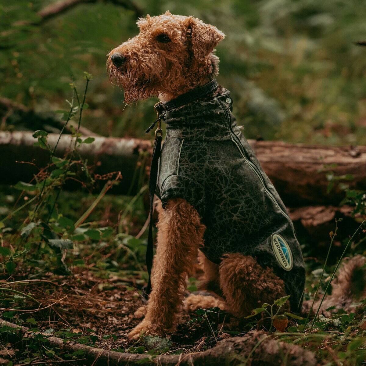 (ウェザビータ) Weatherbeeta ワンちゃん用 Comfitec アクティブ 反射ディテール コート 犬用 犬服 ペット用品 【海外通販】