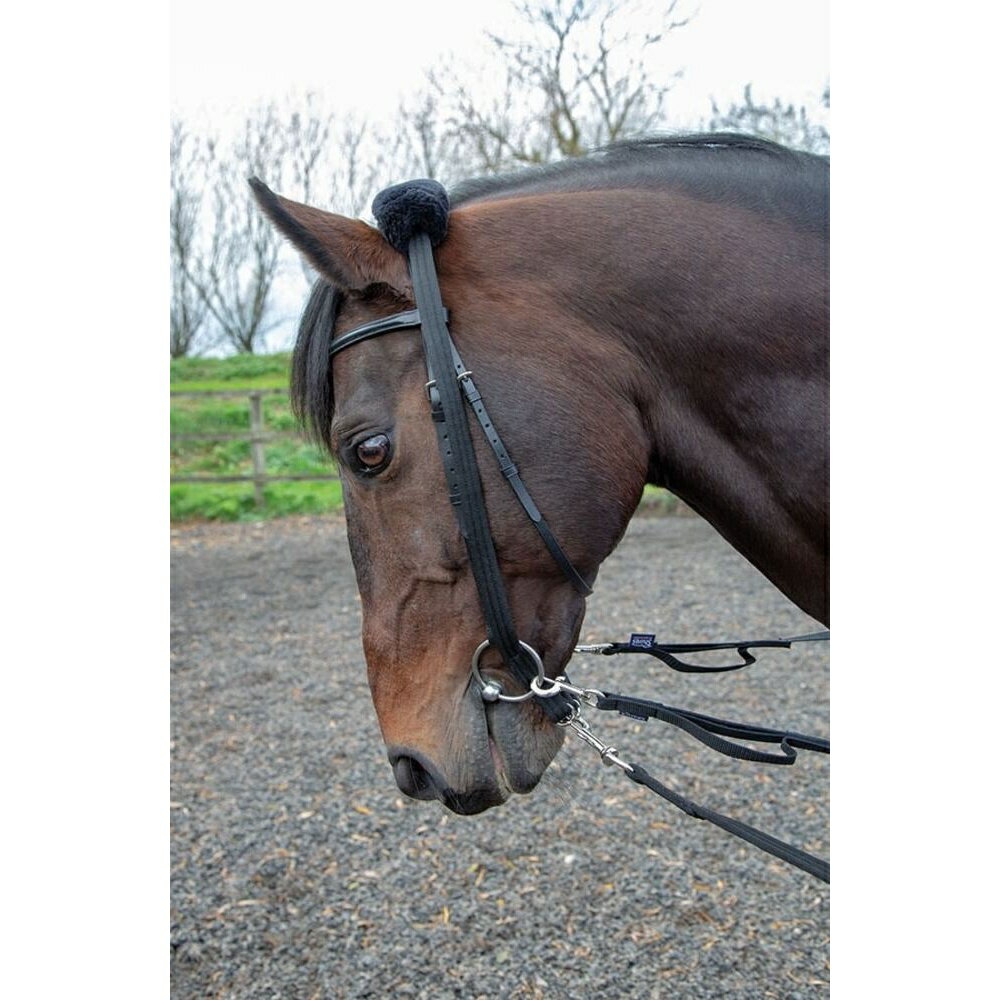 (���㥤����) Shires ���� �쥶�� ��󥸥� �����ץ��� ���� Ĵ�Ϻ� �ۡ����饤�ǥ��� �ڳ������Ρ�