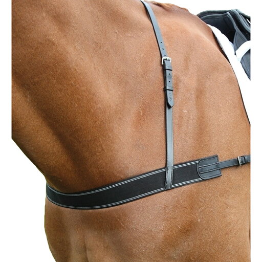 (ブレナム) Blenheim 馬用 レザー 伸縮性 ブレストガース 乗馬 胸がい 馬具 ホースライディング 【海外通販】 (ブレナム) Blenheim 馬用 レザー 伸縮性 ブレストガース 乗馬 胸がい 馬具 ホースライディング 【海外通販】