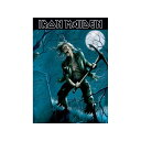 (アイアン・メイデン) Iron Maiden オフィシャル商品 Benjamin Breeg ポストカード 【海外通販】