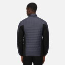 (レガッタ) Regatta メンズ Tourer ジャケット ハイブリッドジャケット 長袖 アウトドア 【海外通販】