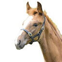 (ブレナム) Blenheim 馬用 レザー 調節可能 ヘッドカラー 乗馬 馬具 ホースライディング 【海外通販】