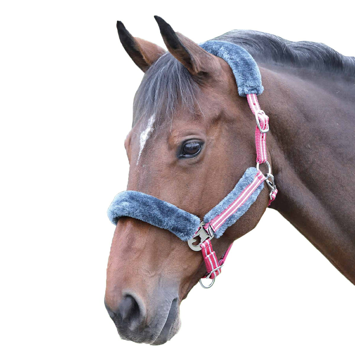 ◇エルメス◇鐙/馬具/乗馬 当店独占販売 乗馬用品 エルメス散歩用