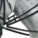 (シャイアズ) Shires 馬用 コットン ウェブ手綱 乗馬 馬具 ホースライディング 【海外通販】