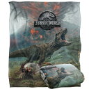 (ジュラシック・ワールド) Jurassic World オフィシャル商品 Tレックス フリースブランケット フリース毛布 【海外通販】