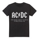 (エーシー・ディーシー) AC/DC オフィシャル商品 メンズ World Tour 1982 Tシャツ 半袖 トップス 【海外通販】