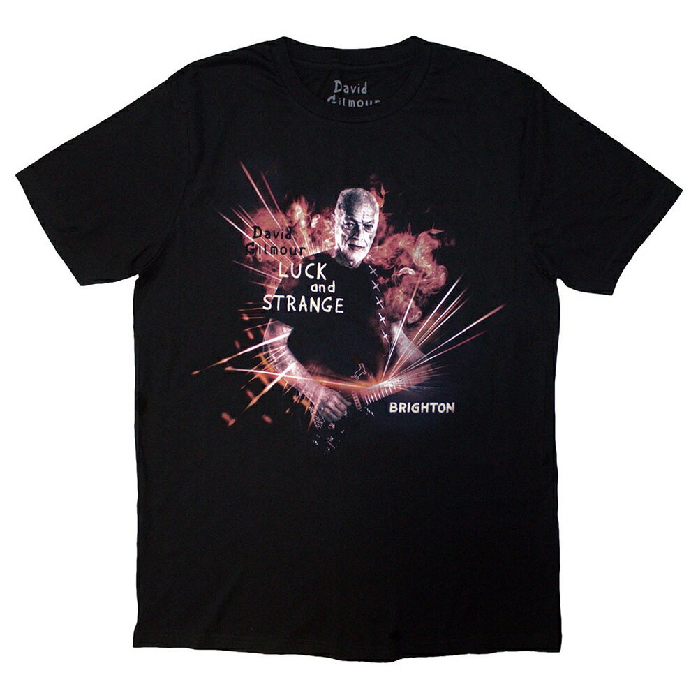乐天商城 - (デヴィッド・ギルモア) David Gilmour オフィシャル商品 ユニセックス Luck & Strange Brighton Tシャツ バックプリント 半袖 トップス 【海外通販】