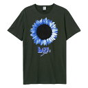 (アンプリファイド) Amplified オフィシャル商品 ユニセックス ブッシュ Tシャツ Sunflower 半袖 カットソー トップス 【海外通販】