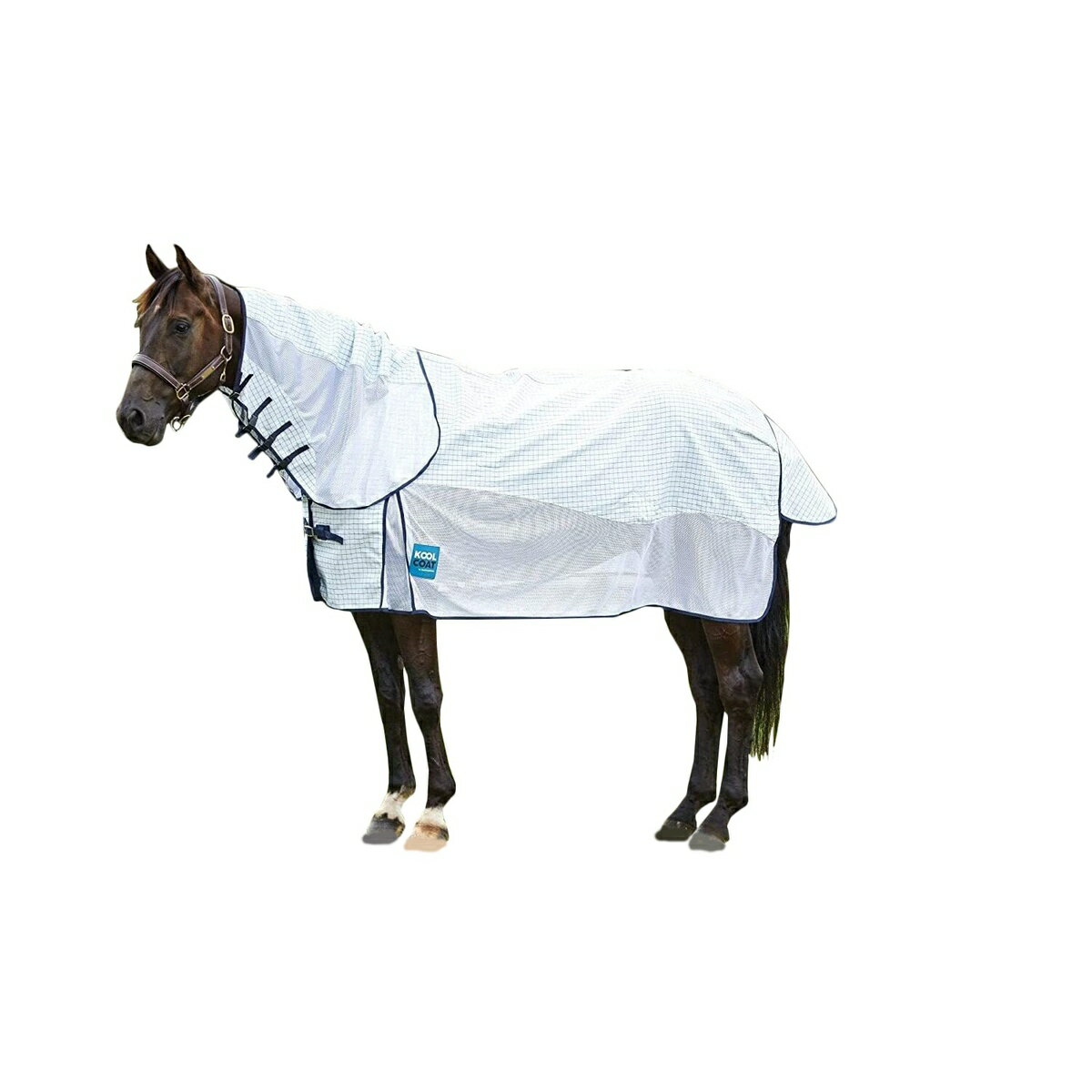 (クールコート) Kool Coat 馬用 Airstream コンボ ターンアウトラグ 乗馬 馬着 ホースライディング 【海外通販】