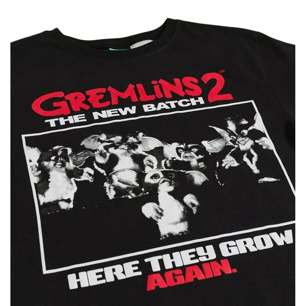 (�������2 ������¡���) Gremlins 2: The New Batch ���ե�����뾦�� ��ǥ����� Here They Grow Again Ⱦµ T����ĥ��ԡ��� �ڳ������Ρ�