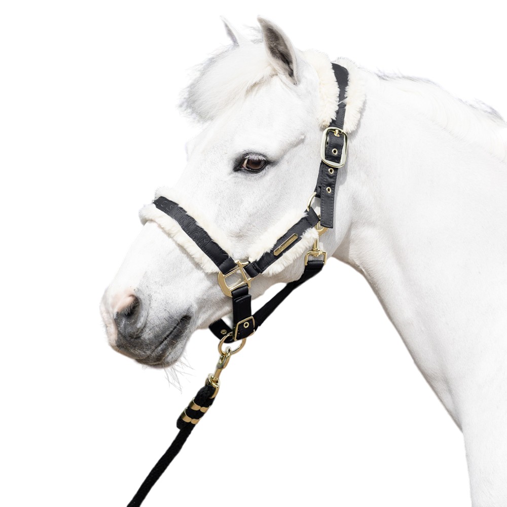 (コールドストリーム) Coldstream 馬用 Langlee ラグジュアリー ヘッドカラー リードロープ付き 乗馬 馬具 ホースライディング 【海外通販】