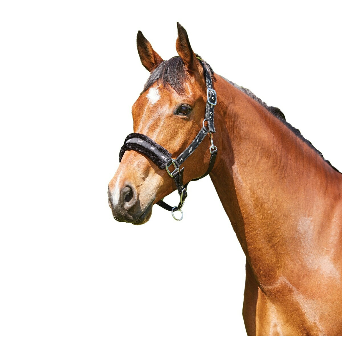 馬装具 馬具 乗馬用品 頭絡 調教 サクソン Saxon ホースライディング 日本最大級の品揃え 馬用 ヘッドカラー 乗馬 リボン フリース裏地 馬装具 馬具 乗馬用品 頭絡 調教 サクソン Saxon ホースライディング 日本最大級の品揃え 馬用 ヘッドカラー 乗馬 リボン フリース裏地