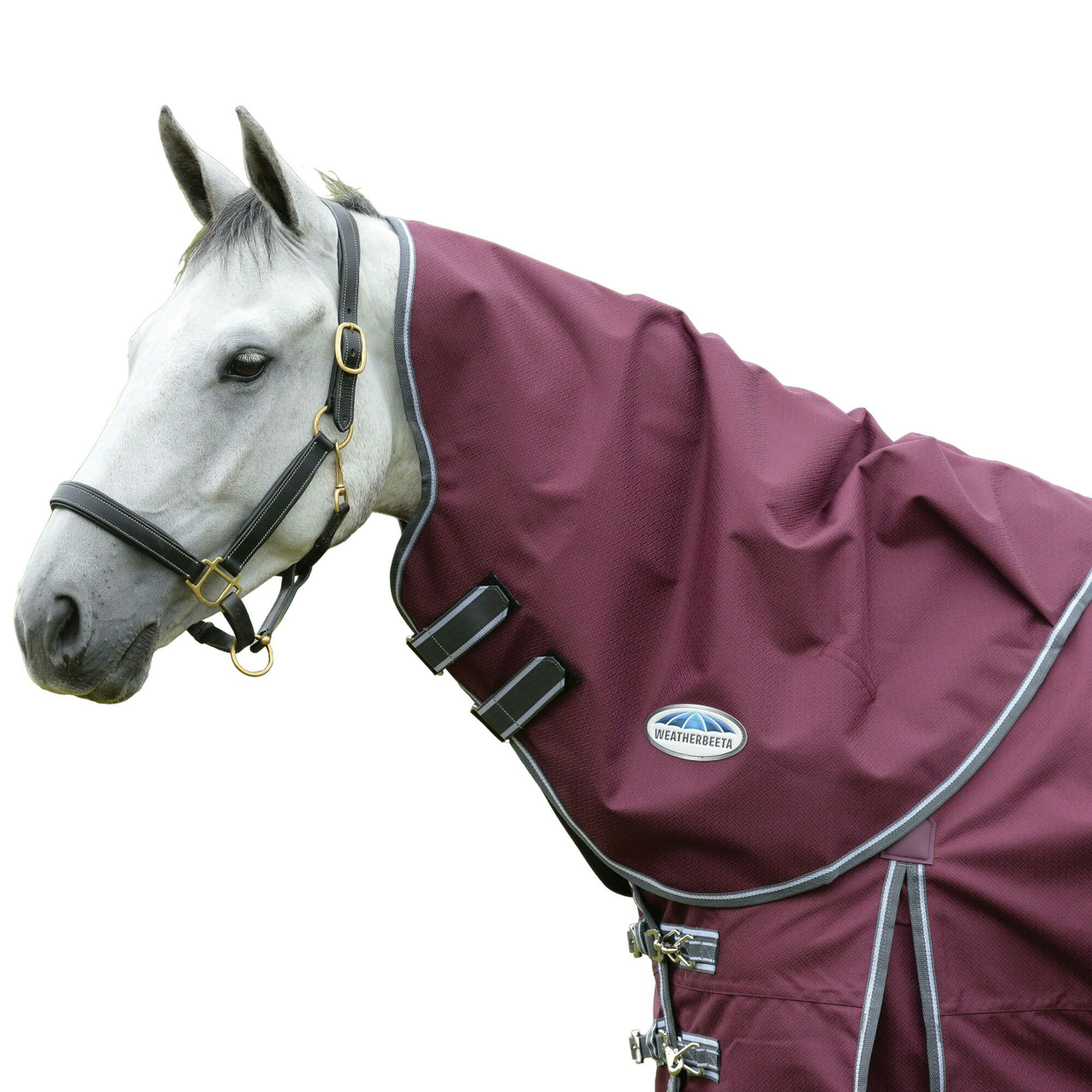 (�������ӡ���) Weatherbeeta ���� Comfitec �ץ饹 Dynamic II �饤�� 100g �����󥢥��� �ͥå����С� ���� ���� �ۡ�...