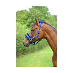 (ハイ) Hy 馬用 Dazzle ヘッドカラー 乗馬 馬具 ホースライディング 【海外通販】