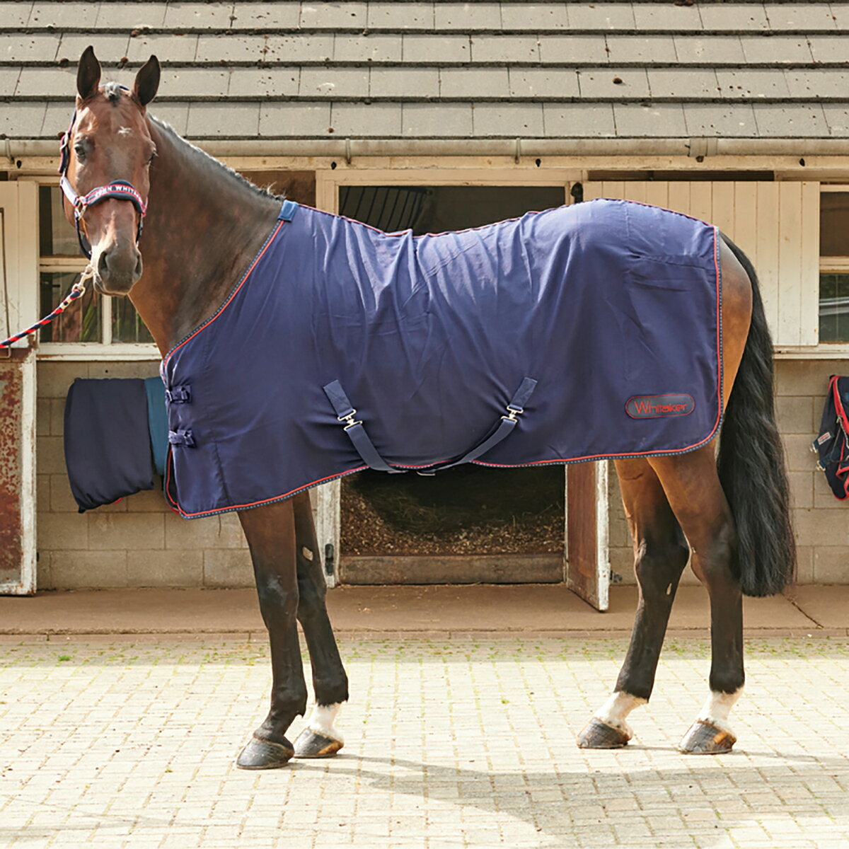 安い馬着の通販商品を比較 | ショッピング情報のオークファン 安い馬着の通販商品を比較 | ショッピング情報のオークファン
