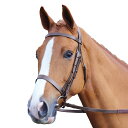 (アビモア) Aviemore 馬用 プレーン レザー ブライドル 乗馬 馬具 頭絡 ホースライディング 【海外通販】