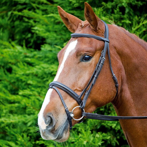 (アビモア) Aviemore 馬用 コンフォートフィット レザー ブライドル 乗馬 頭絡 馬具 ホースライディング 【海外通販】 (アビモア) Aviemore 馬用 コンフォートフィット レザー ブライドル 乗馬 頭絡 馬具 ホースライディング 【海外通販】