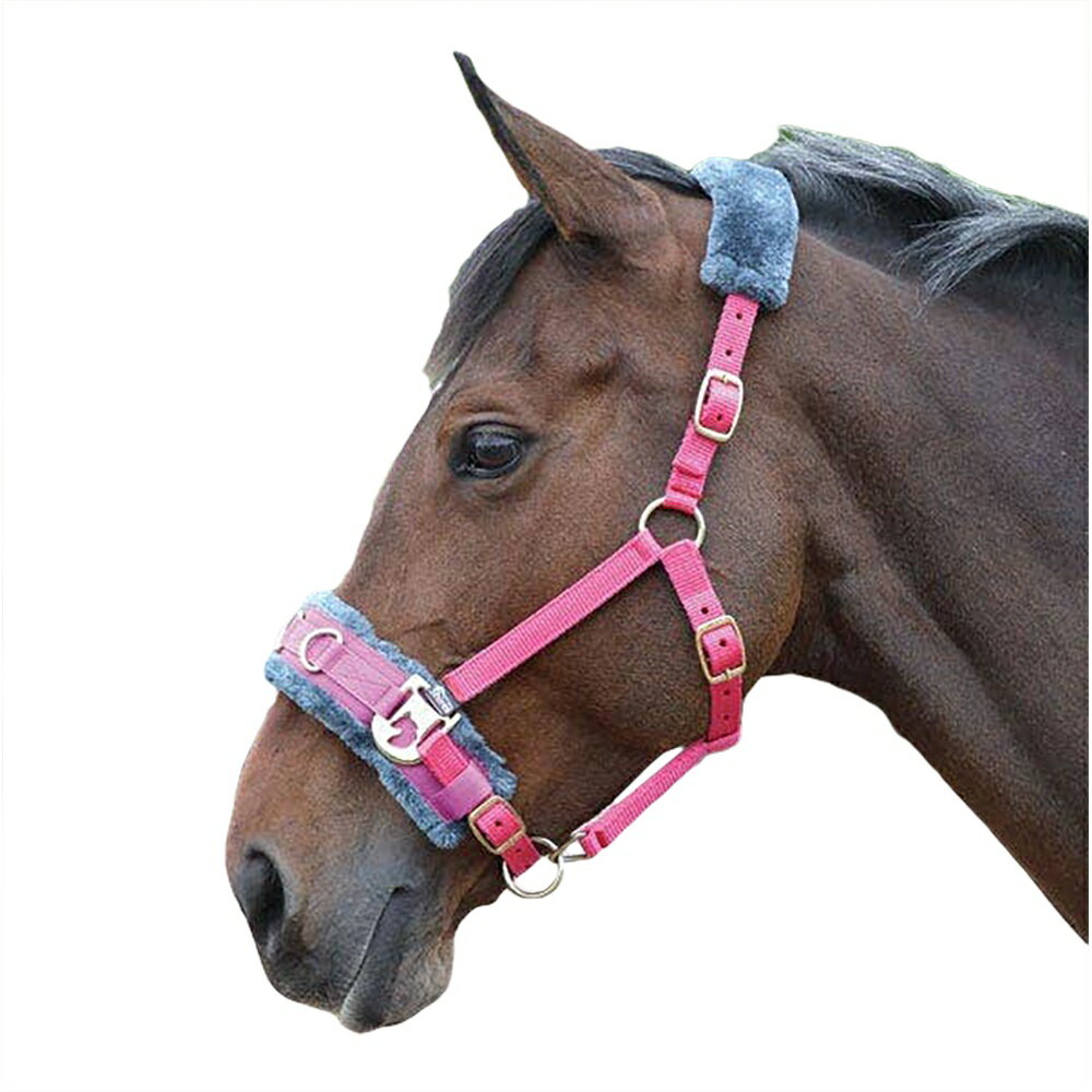 (シャイアズ) Shires 馬用 フリース裏地プラッシュ ランジカブソン 乗馬 ホースライディング 【海外通販】