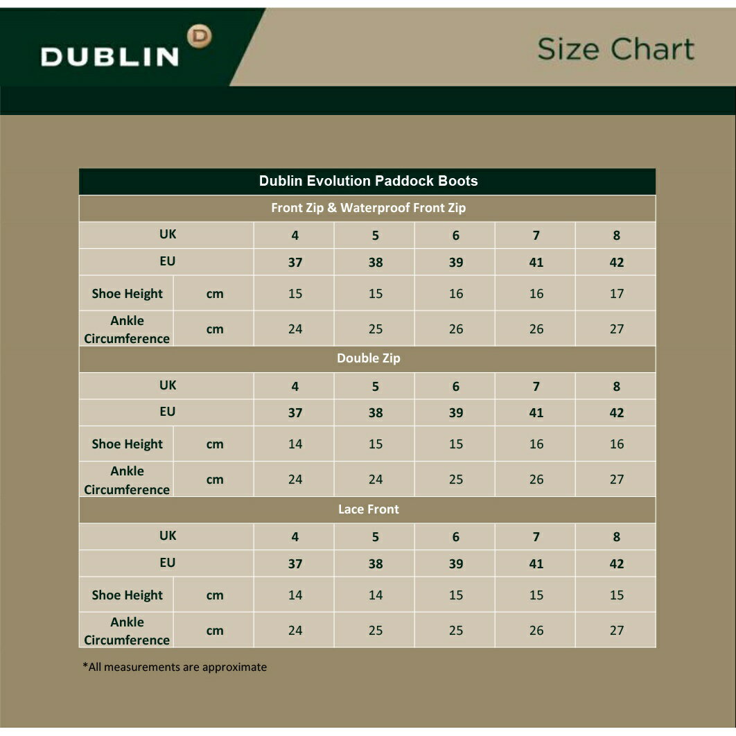 (֥) Dublin ˥å Evolution 졼å 쥶 ѥɥå֡  åѡ ֡ ۡ饤ǥ ڳΡ